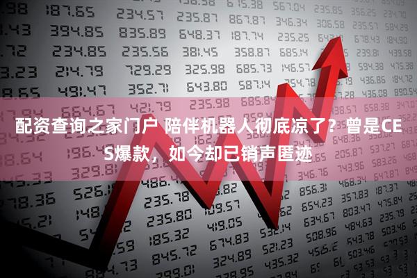 配资查询之家门户 陪伴机器人彻底凉了？曾是CES爆款，如今却已销声匿迹
