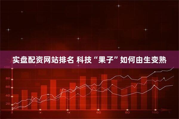 实盘配资网站排名 科技“果子”如何由生变熟